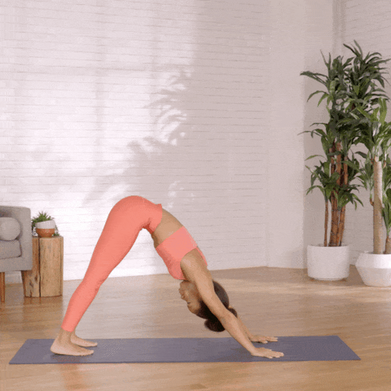  Downward-facing dog