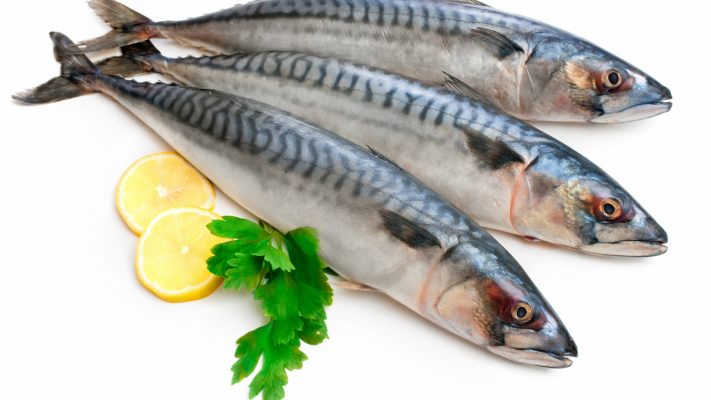 Best Fishes